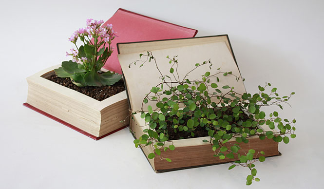  東京ピストルの「HONBACHI/本鉢」が登場 ギャラリー