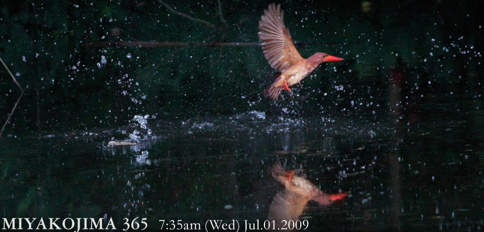  MIYAKOJIMA365 , July 2009