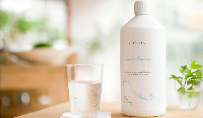  SHIGETAの「バイタリティー・コーチング®」の効果　～デトックス編　ギャラリー