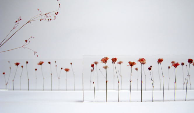  第12回 寺山紀彦氏にオランダデザインを聞く(前編) ギャラリー