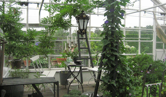  塚田有一│みどりの触知学 第5回：温室について ギャラリー