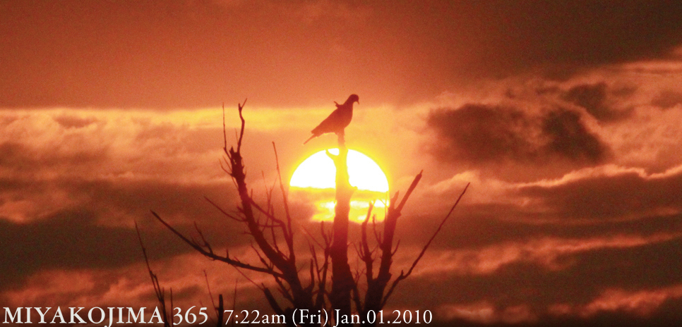  MIYAKOJIMA365 , January 2010