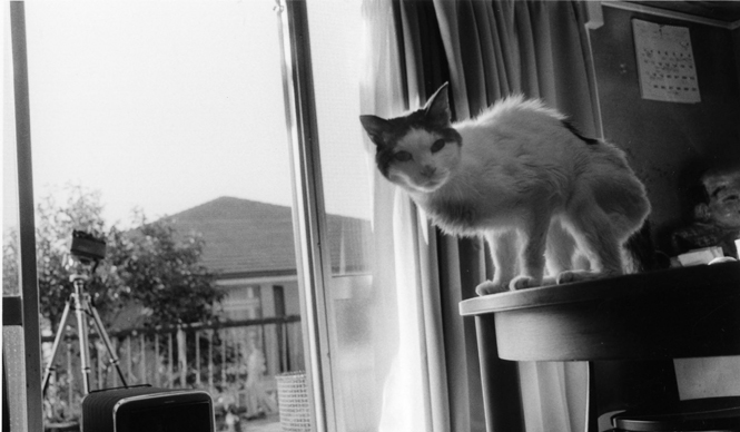  ラットホールギャラリー｜荒木経惟展「センチメンタルな旅 春の旅」 ギャラリー