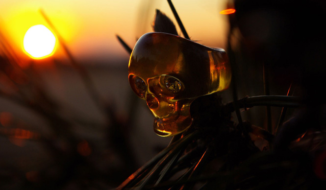  Cakes｜ ギャラリー