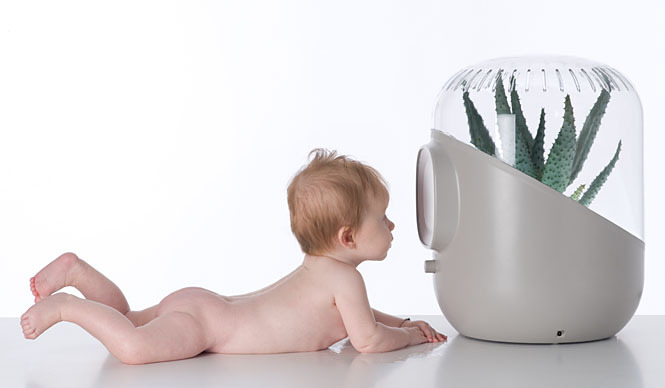  Synergy Trading｜観葉植物を使ったエコな空気清浄機「ANDREA」日本初上陸 ギャラリー