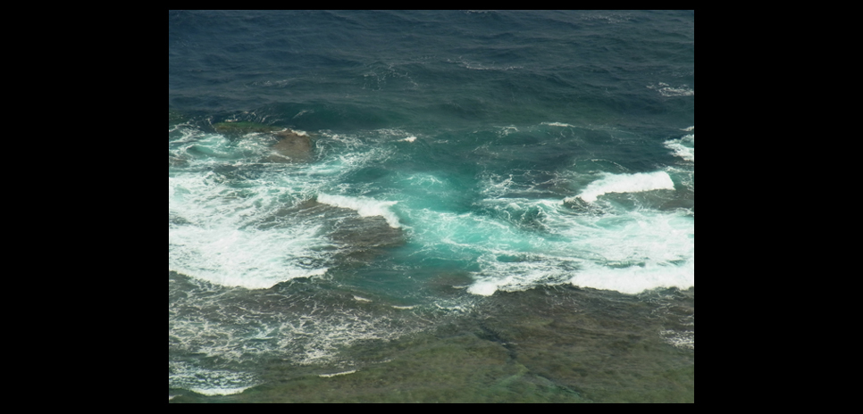  シンジョウコウジ × リコーCX4 「ふとした瞬間、見えるもの」 ギャラリー