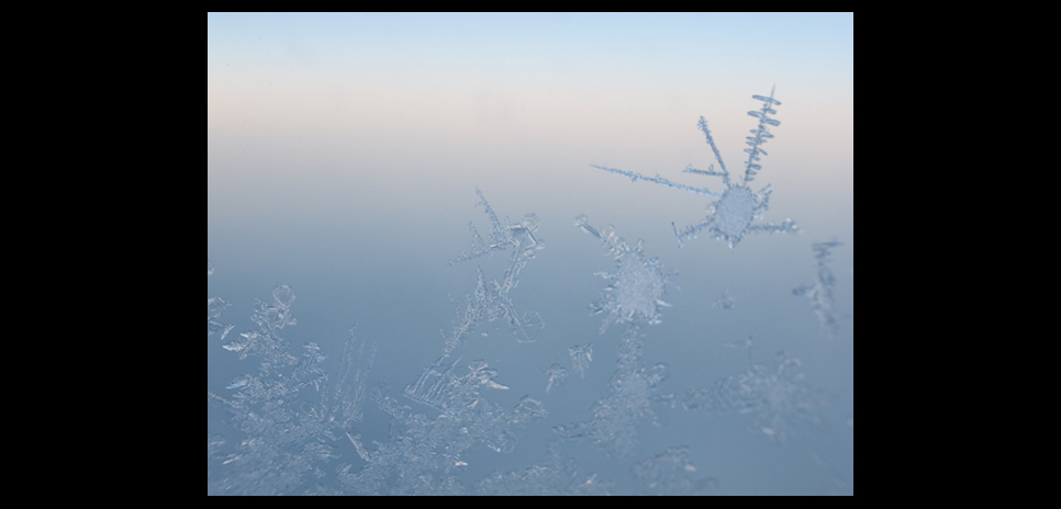  リコー｜川内倫子（写真家）×リコーGXR＋S10 ギャラリー