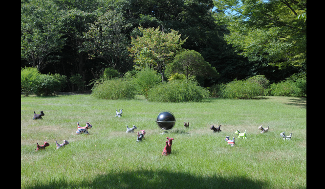  INTERVIEW｜写真家 堀 清英　写真集『いぬまるけ　Dogs…anywhere』刊行 ギャラリー