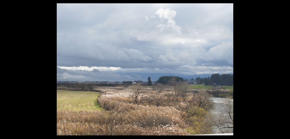  RICOH｜鶴田真由（女優）×リコーGXR+A12 ギャラリー