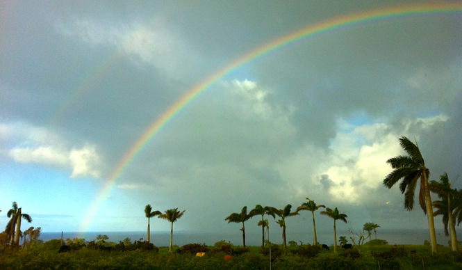  生方ななえ｜「読んでいると旅をしたくなる」 ギャラリー