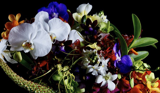  EVENT｜菊地成孔×南 博×東 信　ラフォーレ サウンド ミュージアム　2011 ギャラリー