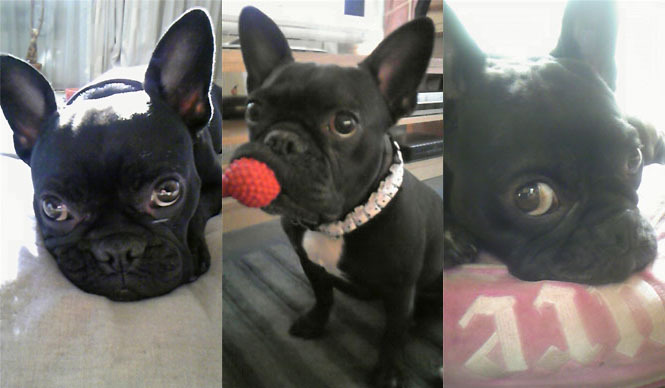  連載・SAKURA｜2011.3｜第11回 私にとっての癒しスタイル ギャラリー