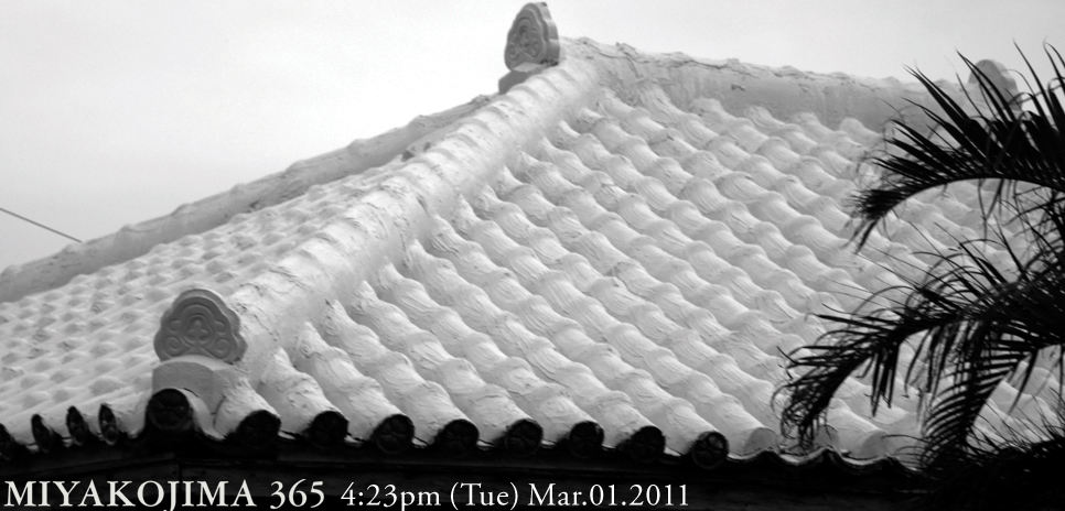  MIYAKOJIMA365｜March 2011