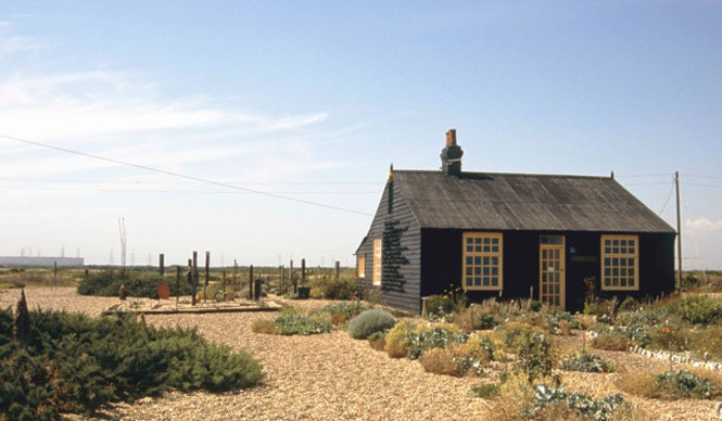  MATSUNAGA Manabu｜Vol.3 デレク・ジャーマンの庭 ギャラリー