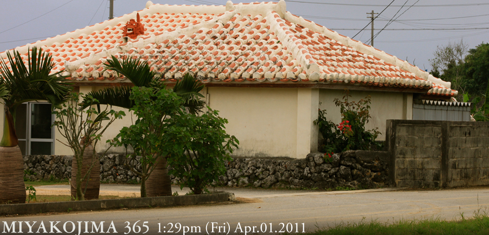  MIYAKOJIMA365｜April 2011