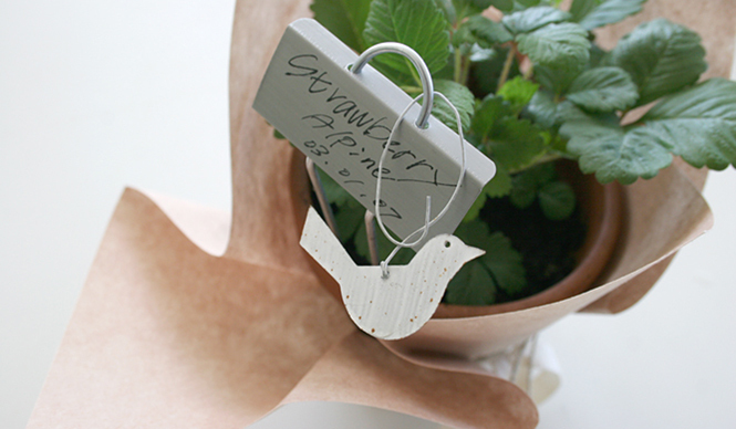  連載・Yoko Ueno Lewis｜暮らしノート・第7回 「テーブルガーデン：自分で楽しむ心の緑化プロジェクト」 ギャラリー