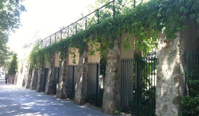  MATSUNAGA Maiko｜eau de Paris　パリの水に変革が！