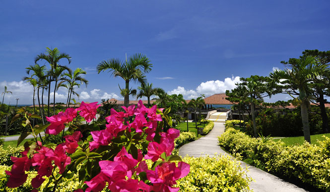  organic elements｜沖縄『はいむるぶし』にスパ・トリートメントメニュー誕生 ギャラリー