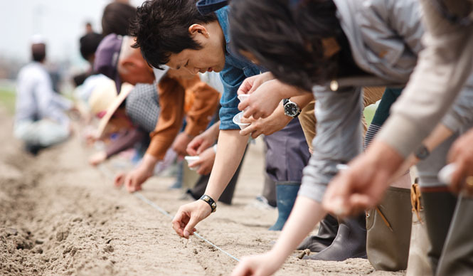  東日本大震災｜東北コットンプロジェクト発足 ギャラリー