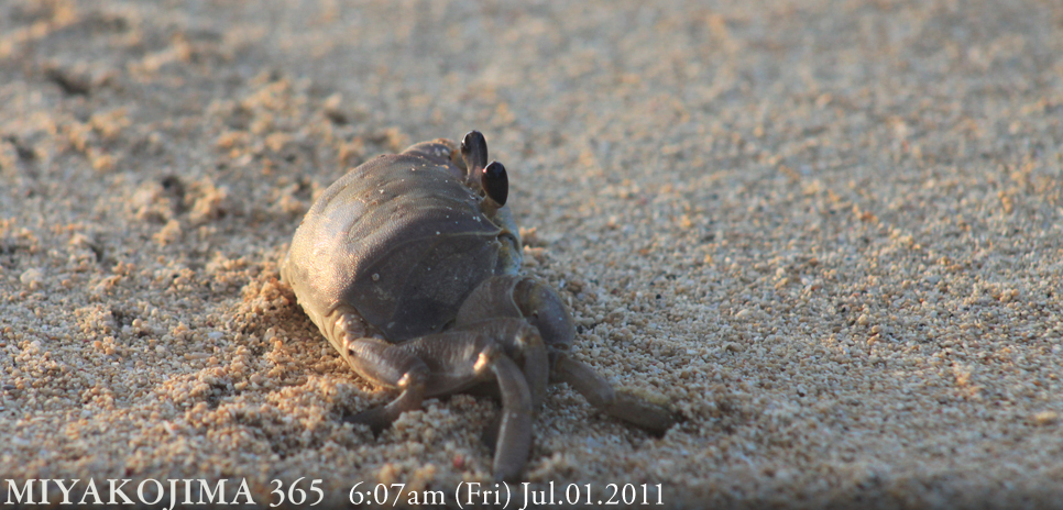  MIYAKOJIMA365｜July 2011