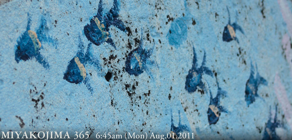  MIYAKOJIMA365｜August 2011