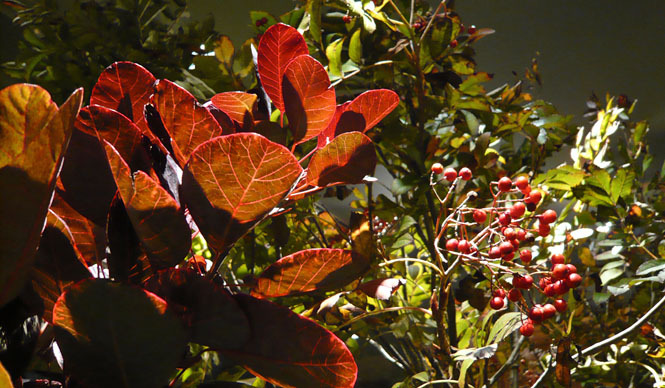  イセタンメンズレジデンス通信2011年10月号｜ISETAN MEN'S｜メンズ館8周年、レジデンス4周年！ Gallery