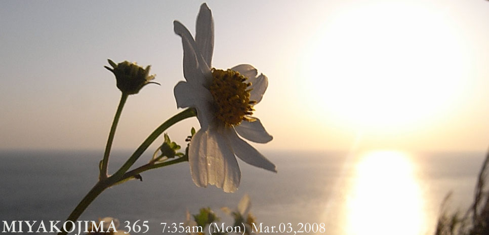  MIYAKOJIMA365 , March 2008