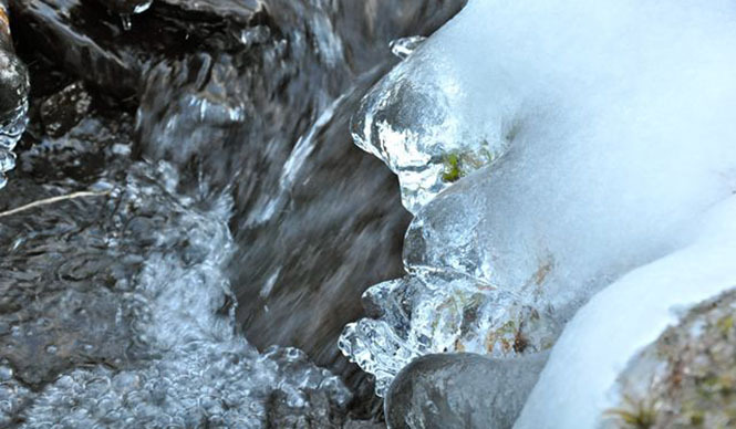 連載・塚田有一│みどりの触知学 第15回 山の冬 ギャラリー