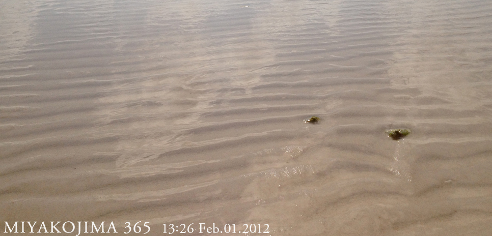  MIYAKOJIMA365｜February 2012