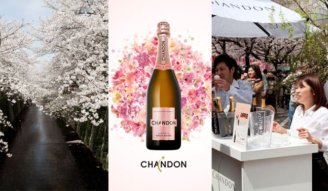 シャンドン ロゼのお花見イベント「お花見 CHANDON 目黒川」開催！
