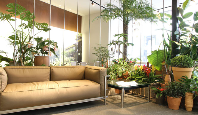 Cassina ixc.｜2012年新作展示「URBAN JUNGLE」開催 ギャラリー