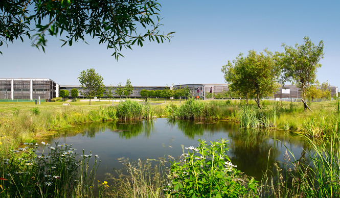 ロールス・ロイスを支える匠たち｜ROLLS-ROYCE ギャラリー