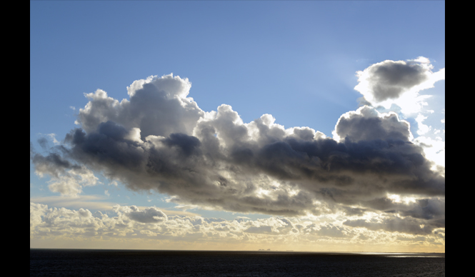 松永 学｜vol.10 デレク・ジャーマンの庭 その2