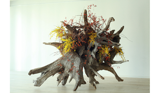 ART｜注目の若手華道家ユニット、プランティカ初の大型個展『plantica_Nomadic』 ギャラリー