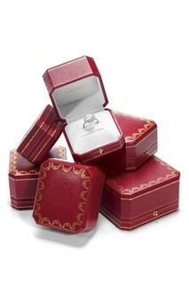 Cartier｜新作ダイヤモンドリング「カルティエ デスティネ」誕生 ギャラリー