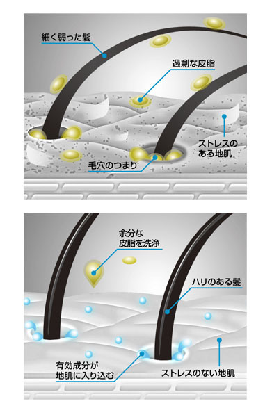 P&G｜男性の“地肌ストレス”に着目したヘアケアブランド「h&s for men」デビュー