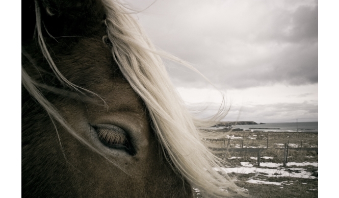 ART｜北海道の風景を撮影した『TAKEO YAMADA│PARADISELOST』 ギャラリー