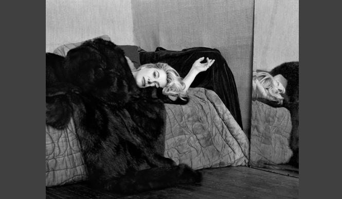 ART│11会場で繰り広げられる『KYOTOGRAPHIE国際写真フェスティバル』 ギャラリー