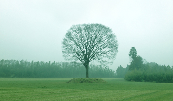 EVENT｜星の集まるキャンプ場「一番星ヴィレッジ」、夏期限定オープン一番星ヴィレッジ,太陽と星空サーカス,草原こころファーム,キャンプ