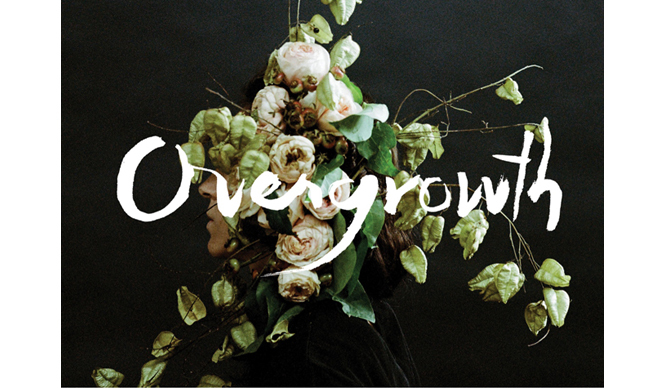 ART｜ポートランドを拠点にするフラワーアーティストと写真家がコラボ ギャラリー