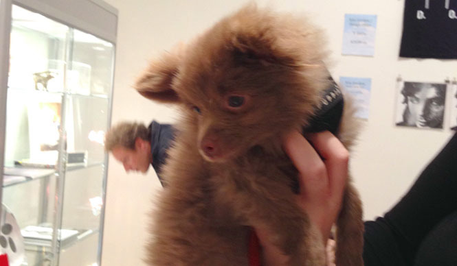 NOOKA｜マシュー・ワォルドマン Vol.34 「アートブックフェアに行ってきた！」 ギャラリー