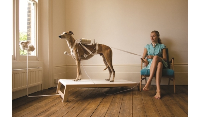 ART｜東京アートミーティング『うさぎスマッシュ展 世界に触れる方法』 ギャラリー