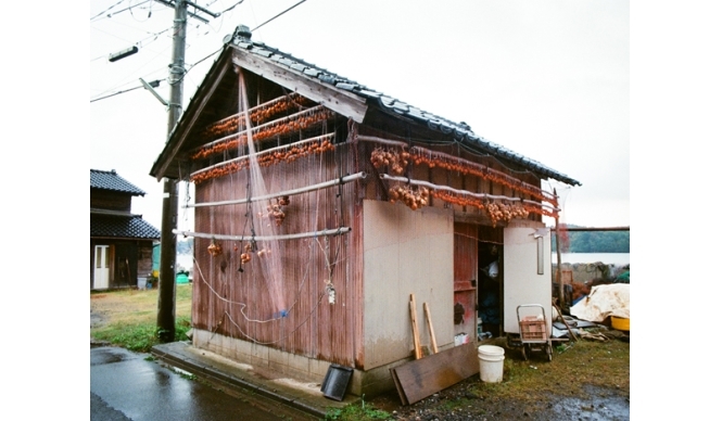 ART｜金沢21世紀美術館『島袋道浩:能登』 ギャラリー