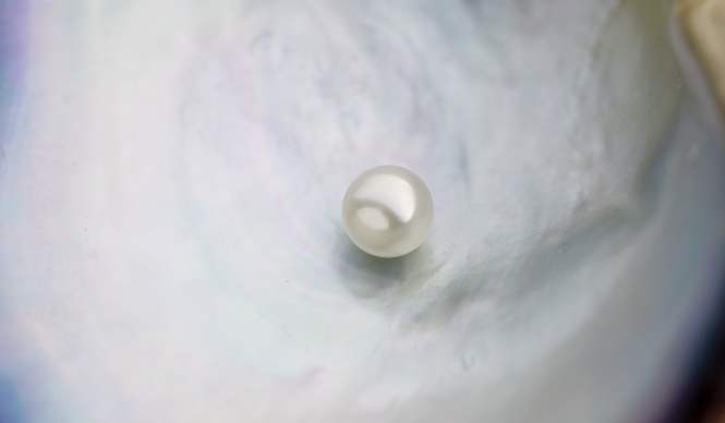 MIKIMOTO｜“真珠の学校”「真珠の不思議～科学の視点で見てみよう～」開催