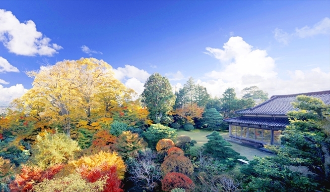 EAT｜1日1組だけの貸切料亭「辻家庭園～前田家家老旧横山家迎賓館～」