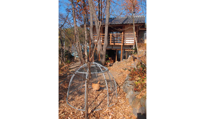 特集｜「パーマカルチャーデザイン」を暮らしのなかに ギャラリー