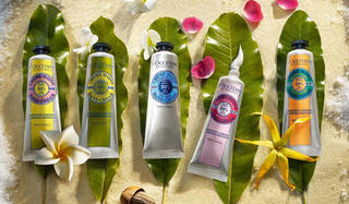 L'OCCITANE｜ロクシタン - BRAND TOP