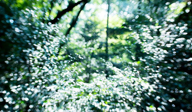 ART｜写真家、飯田信雄写真展「Foton -（光子）」開催 ギャラリー