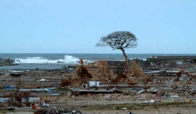 MOVIE｜ユーロスペースで特集上映『連帯、そして再生―――福島』