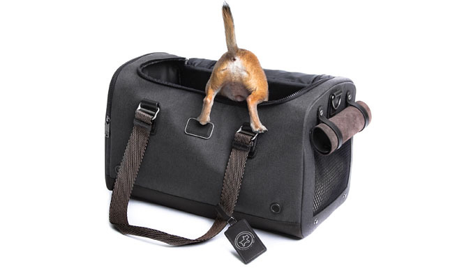 TUMI｜ペットと旅する「Cloud 7 for TUMI」デビュー ギャラリー